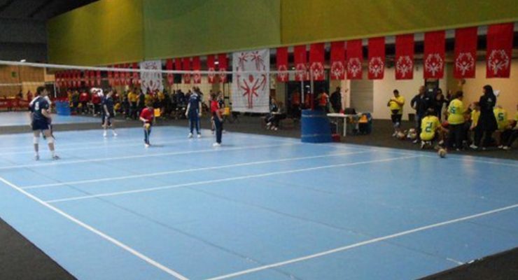 Taraplex-Volley